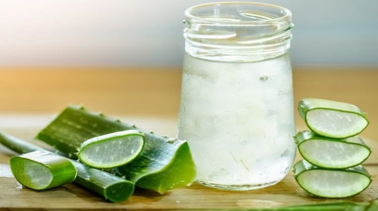 Evde Doğal Aloe Vera Suyu Yapıyoruz! Aloe Vera Suyunun Faydaları Nelerdir?  - Kivi Tadında