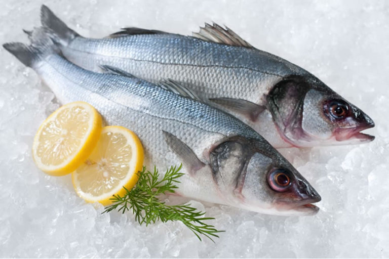 Kasım Ayında Hangi Balıklar Yenir? Kivi Tadında