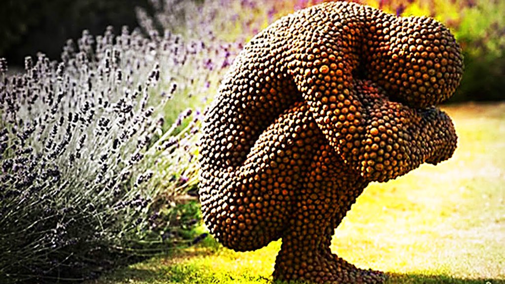 Tripofobi (Delik Fobisi) Nedir? - Kivi Tadında