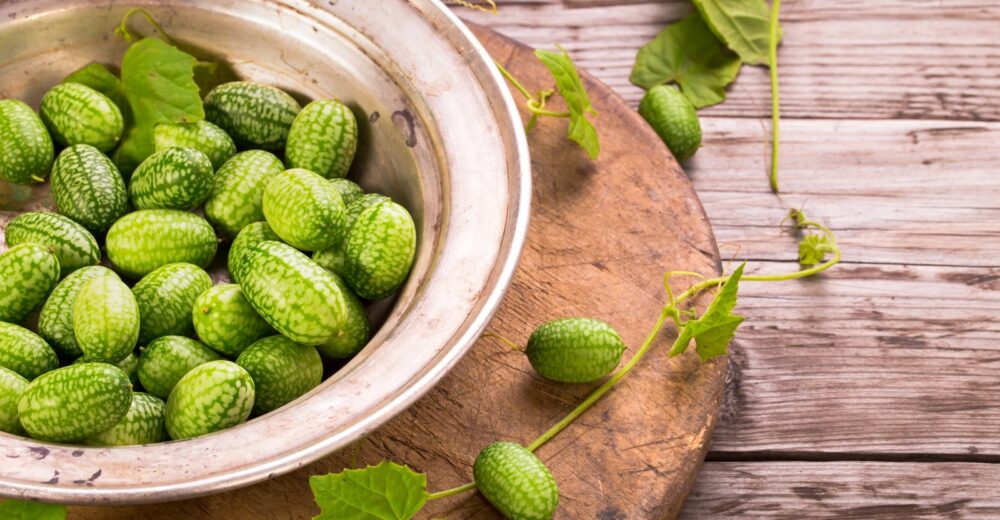 cucamelon nedir