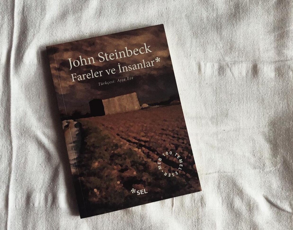 fareler ve insanlar - john Steinbeck