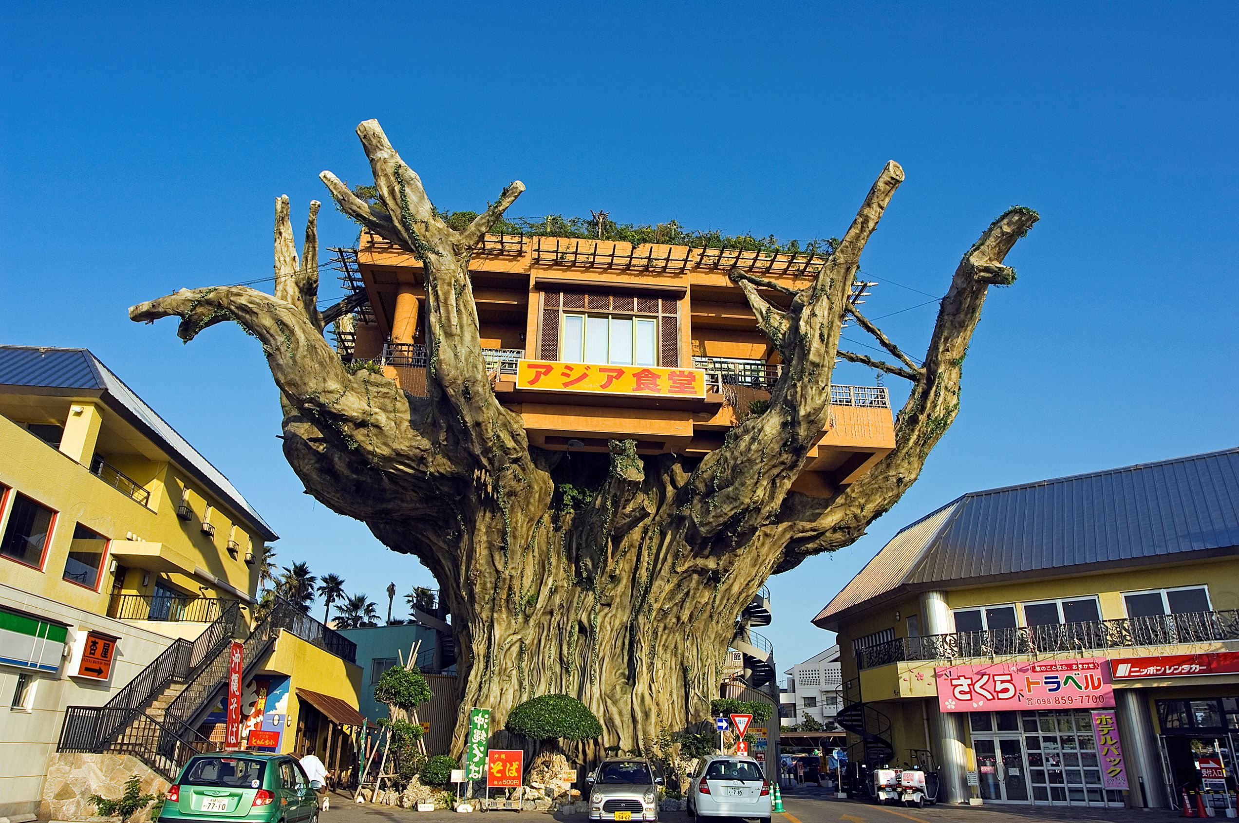 Okinawa Ağaç Restoranı (Okinawa, Japonya)