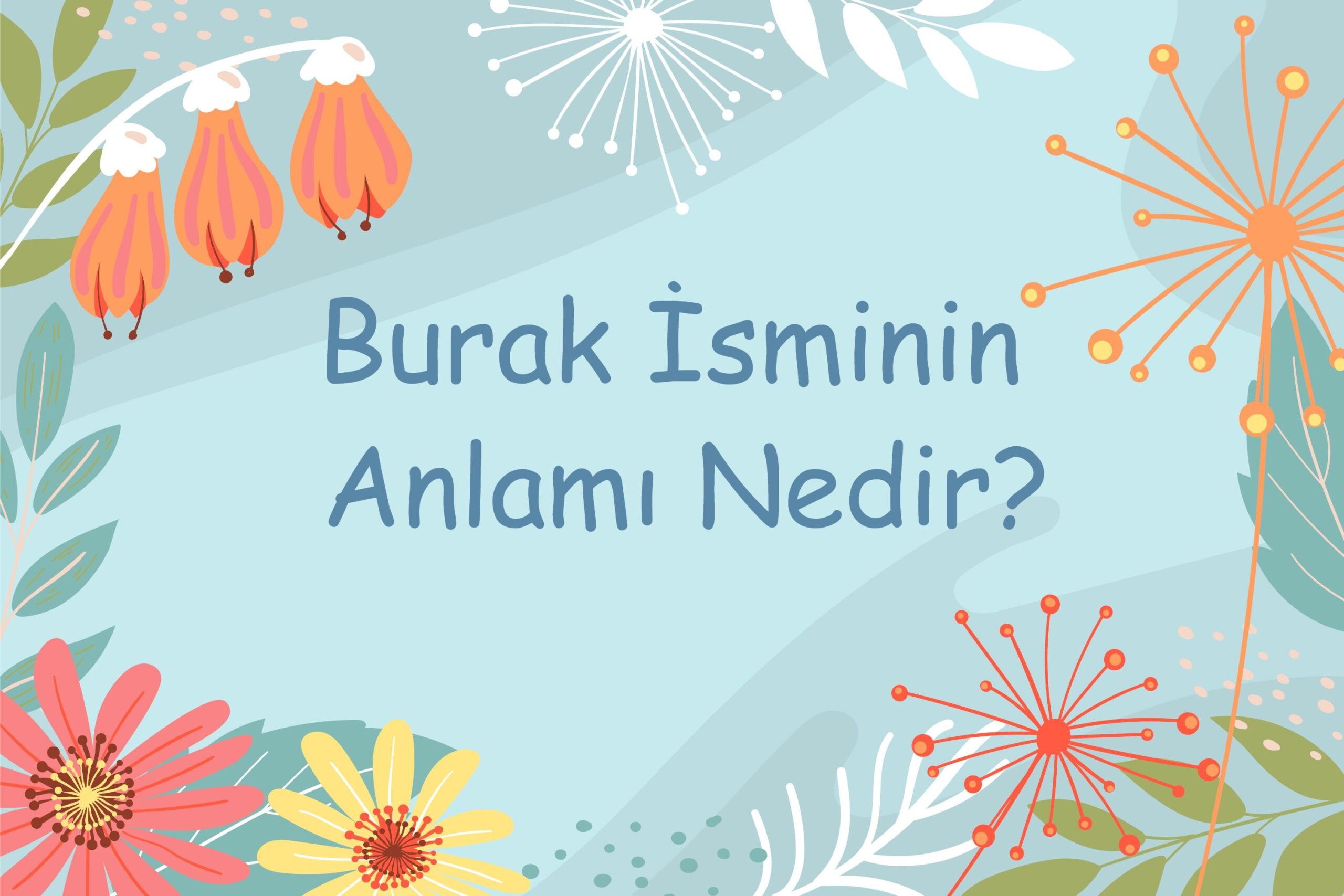 Burak İsminin Anlamı Nedir?