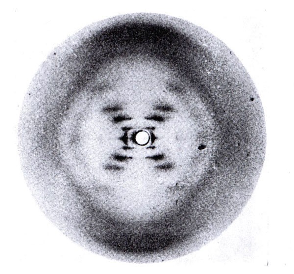 DNA’ya Ait İlk Fotoğrafı Çeken Kadın: Rosalind Franklin
