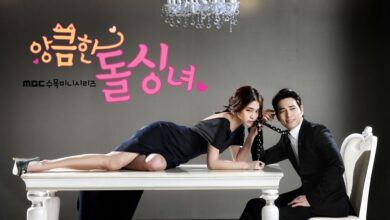 Cunning Single Lady (Aşk Mantık İntikam Dizisinin Kore Uyarlaması)