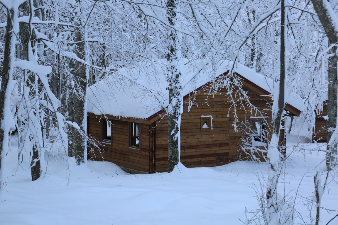 Eriklitepe Tabiat Parkı