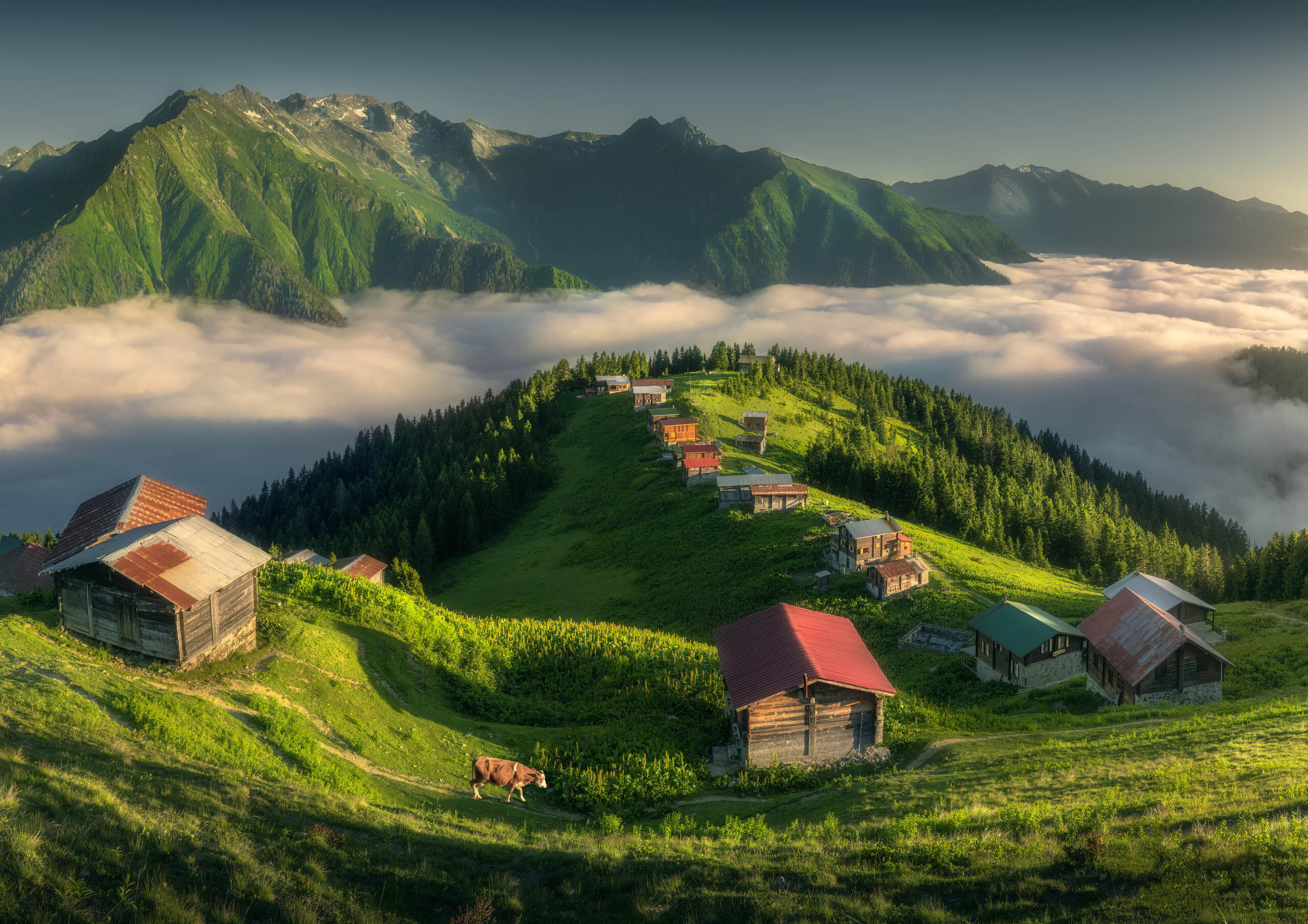 Karadeniz´in En Güzel 5 Yaylası
